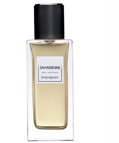 YSL Saharienne sample